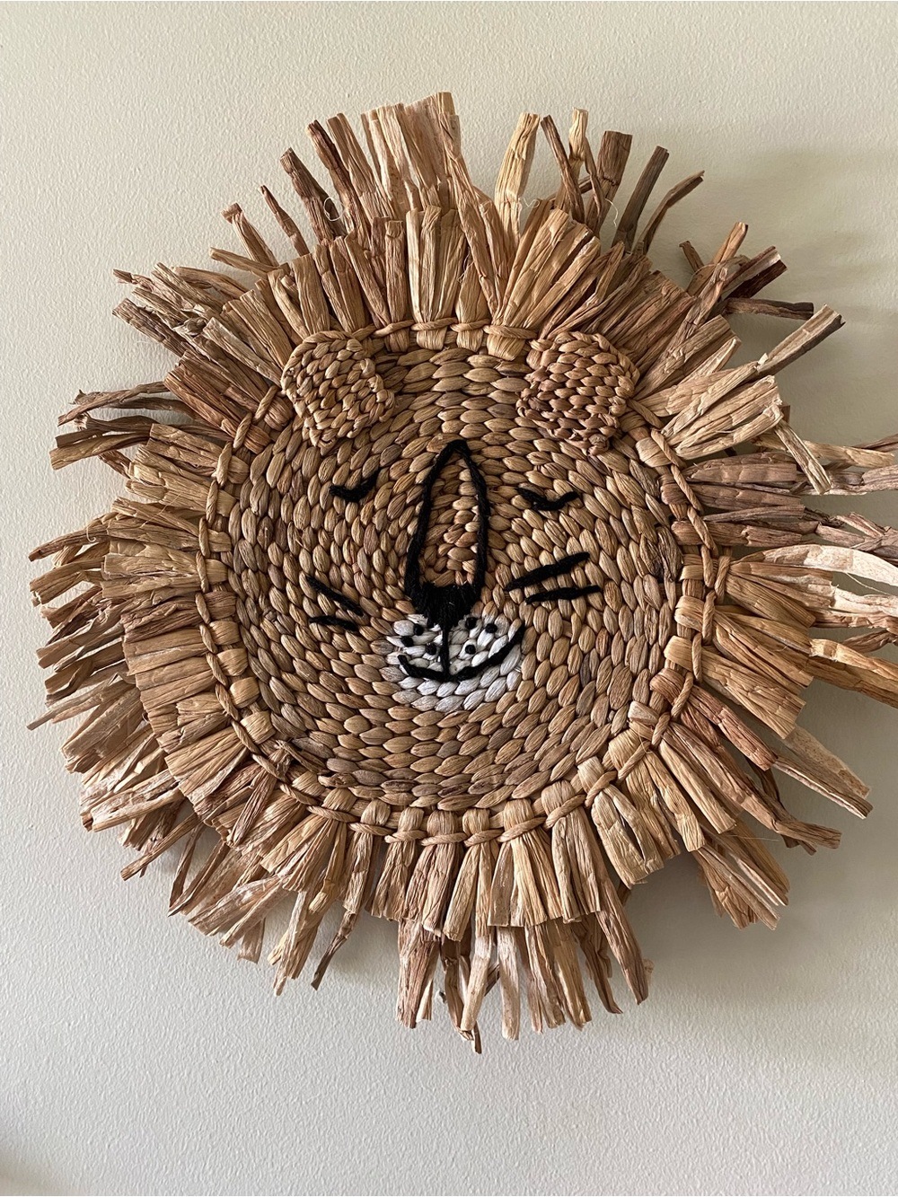 Pillowfort Lion Decor